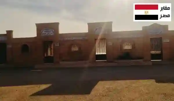 مقابر المشير بتخطيط منظم وصفوف مدافن مرتبة في موقع هادئ على المشير طنطاوي