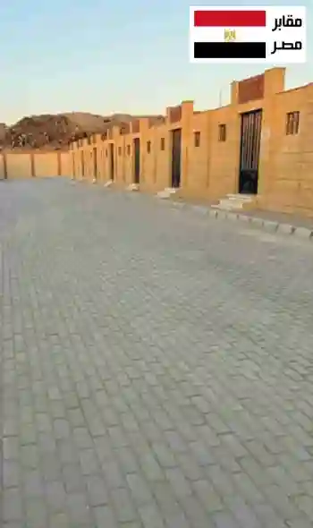 مشهد عام لمقابر المشير يوضح توزيع القبور والممرات مع تنظيم يسهل الزيارة