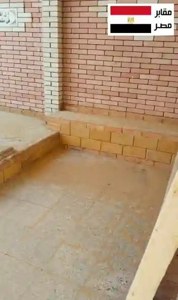 مقابر صندوق صاد بتخطيط منظم ومدافن مرتبة داخل منطقة مخصصة للدفن